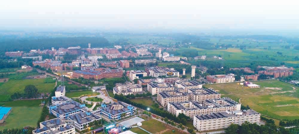 MM University Bangladesh office